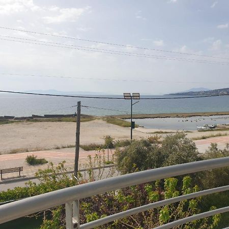 דירות וולוס Bella Vista מראה חיצוני תמונה